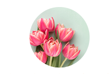 Isabella G., 62, Wien